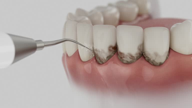 Reliable Dental contractor in Oak Ridge North, TX by Dentist Open Now